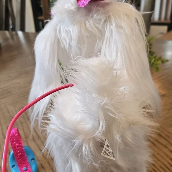 Guru pets walking, barking Maltese dog - Picture 6 of 8